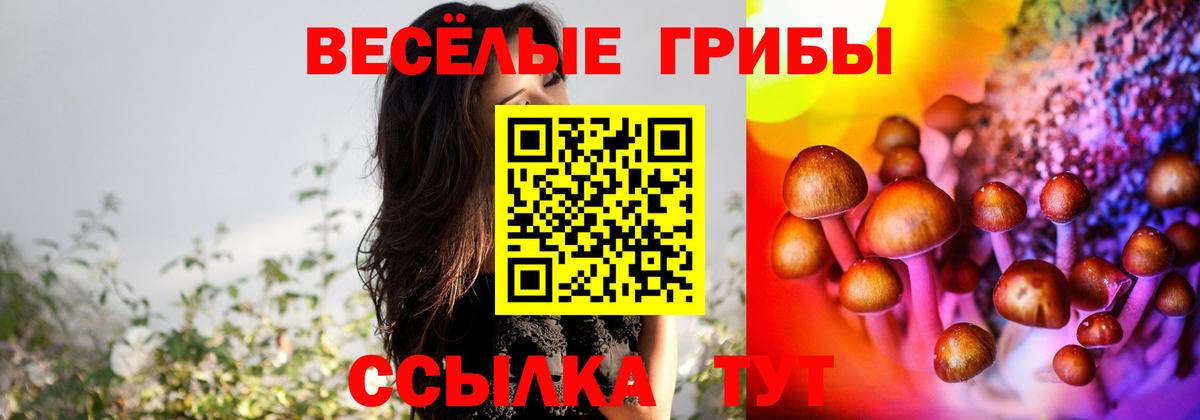 Псилоцибиновые грибы MAGIC MUSHROOMS  Вход с VPN  Кушва 